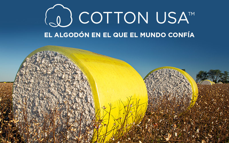 Cultivar ofrece la Cotton Candy a su clientela » FyH Revista